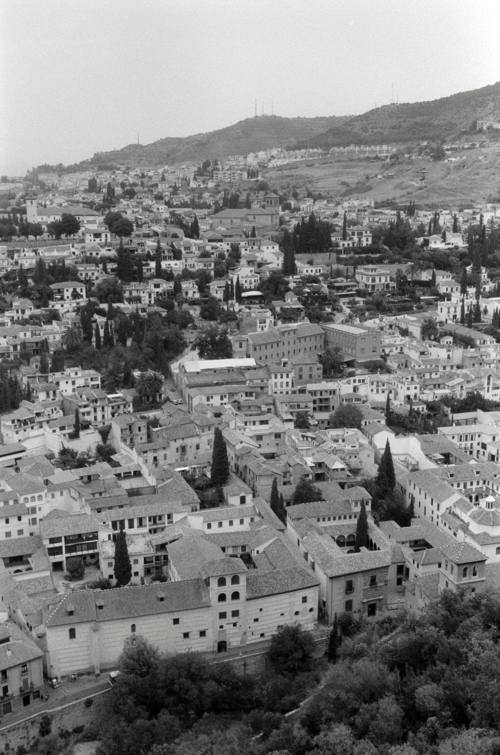 AHP F2001 07 002 sc240901 img14 NLP